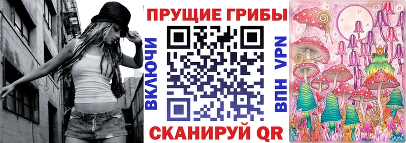 Псилоцибиновые грибы Psilocybine cubensis  mega ссылка  Елизово  где можно купить наркотик 